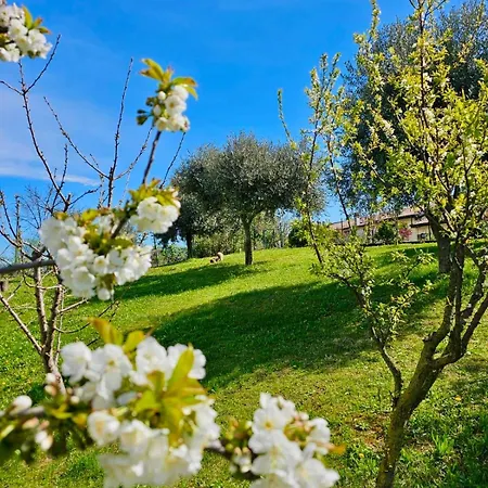 Corte Soave * Montecchia di Crosara